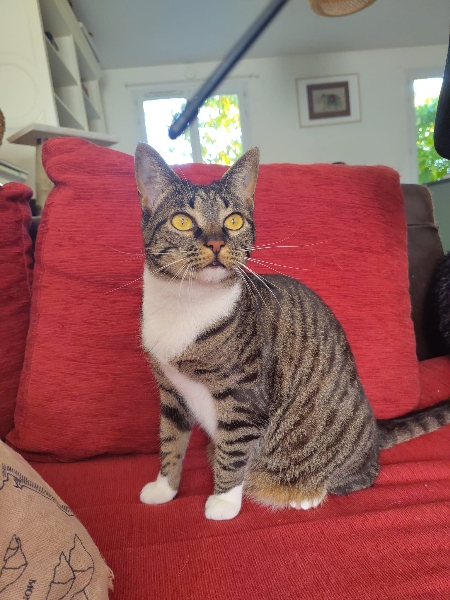 ALMA