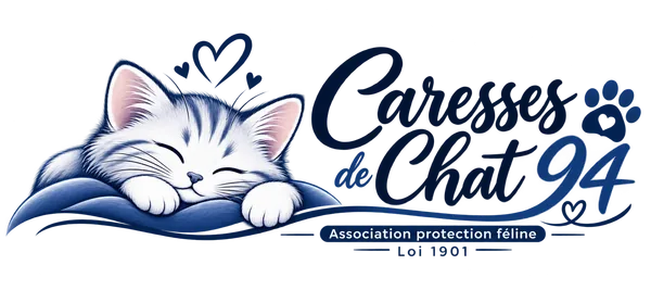 Caresses de Chat 94, association de protection féline