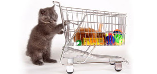 Chaton poussant un caddie rempli de jouets et d’accessoires