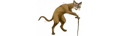 Illustration d’un chat âgé marchant avec une canne
