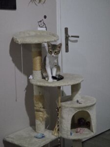 Gustave, photo envoyée par sa famille