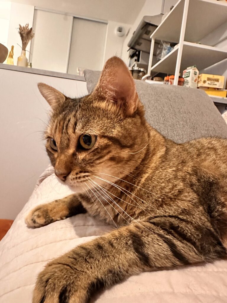 Renata
