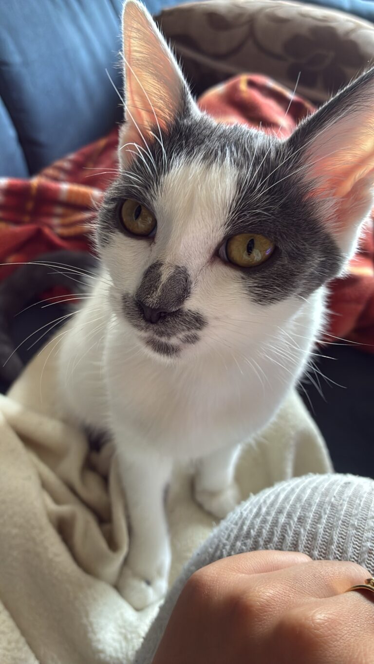 Babette, photo envoyée par sa famille