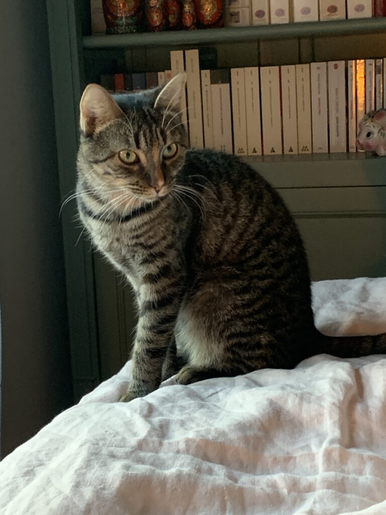 Artemis, photo envoyée par sa famille