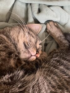Artemis, photo envoyée par sa famille