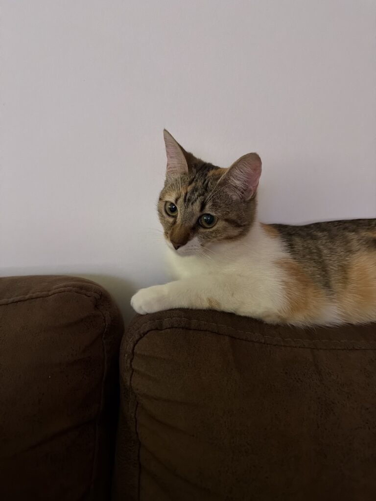 Aby, photo envoyée par sa famille